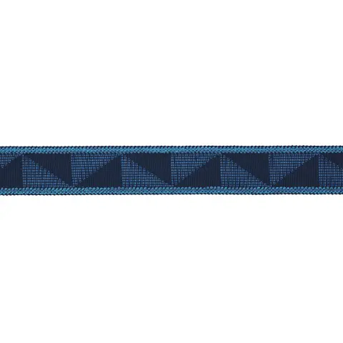 TEAGUE TAPE INDOOR/OUTDOOR_ BLUE
