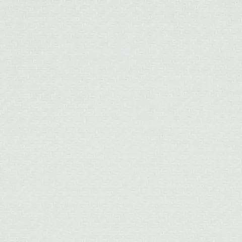 OUTDOOR HEAVYWEIGHT TWILL_ WHITE