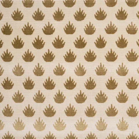CORONATION VELVET_ CAMEL