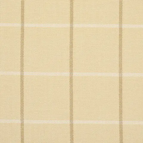 FRANNIE WINDOWPANE_ CAMEL