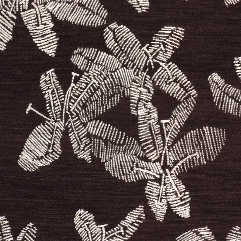 HIBISCUS_ PLUM