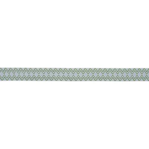 PINULA TAPE_ FERN