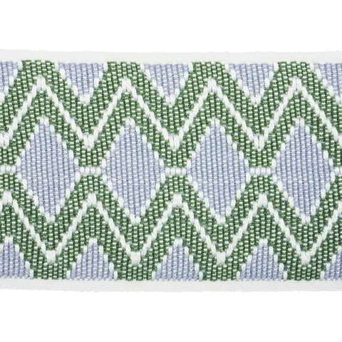 PINULA TAPE_ FERN