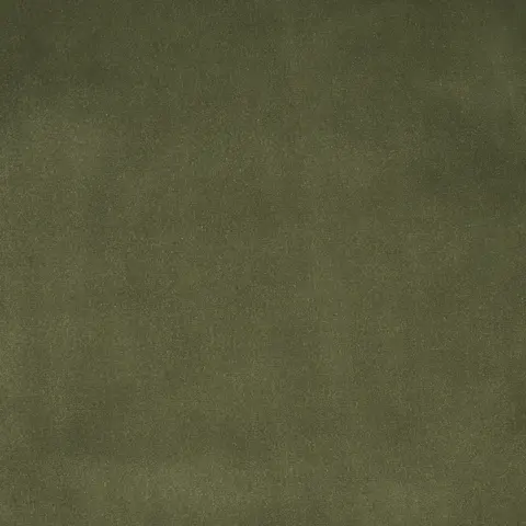 ALISTAIR INDOOR/OUTDOOR VELVET_ OLIVE