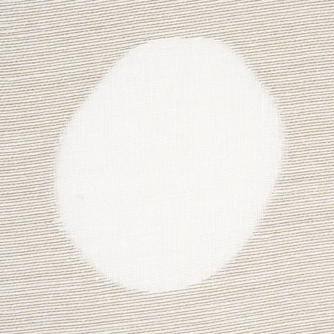 ELAINE SHEER_ BIRCH
