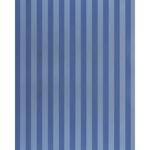 ROOSEVELT AWNING STRIPE_ COBALT