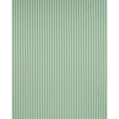 LINCOLN SMALL STRIPE_ GREEN