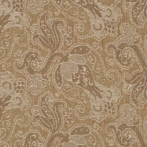 TULIPANO_ CARAMEL