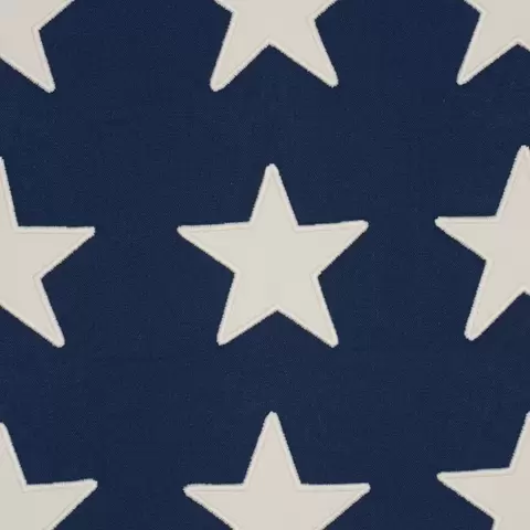 Starfield Appliqué_ NAVY