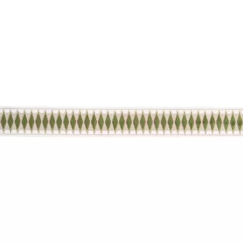 MIREILLE VELVET TAPE_ MOSS