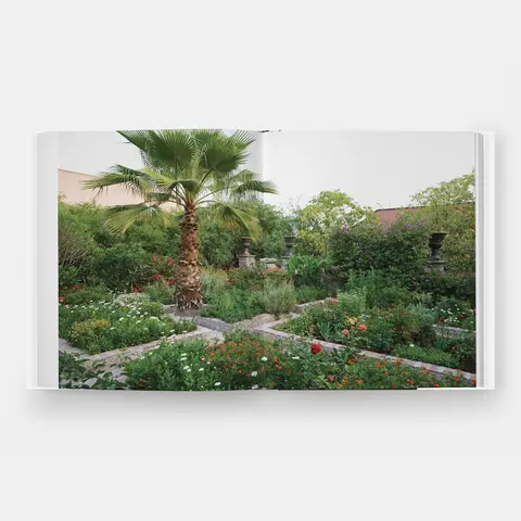 Glorious Gardens_ GREEN & PURPLE