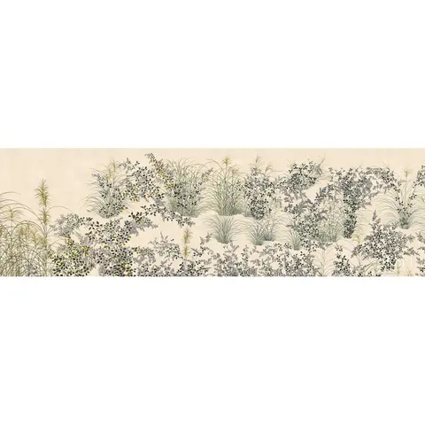 JAPANESE MEADOW_ RICE