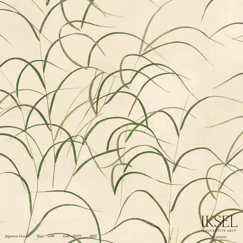 JAPANESE GRASS_ RICE