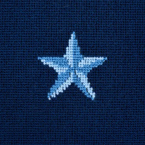 Star Épinglé Pillow_ BLUE