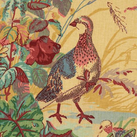 Quail Meadow