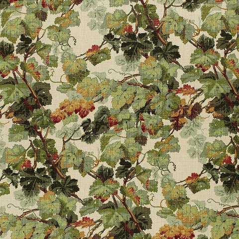 Arbor Vine