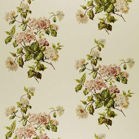 Summer Hydrangea