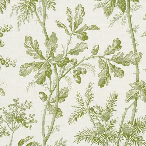 Brantwood Vine