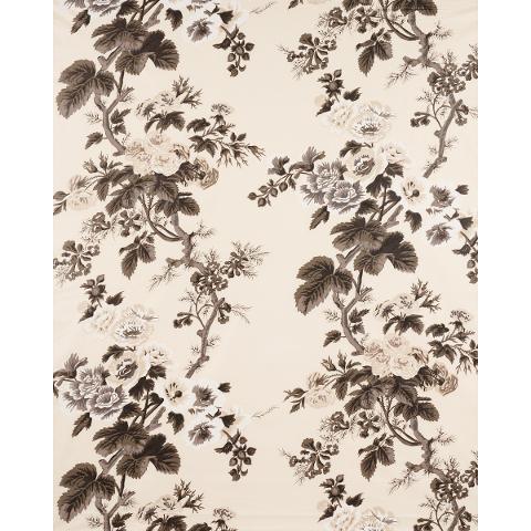 Pyne Hollyhock