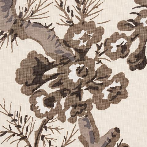 Pyne Hollyhock
