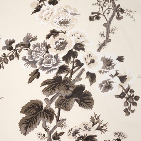 Pyne Hollyhock