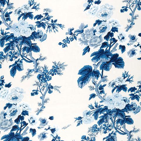 PYNE HOLLYHOCK