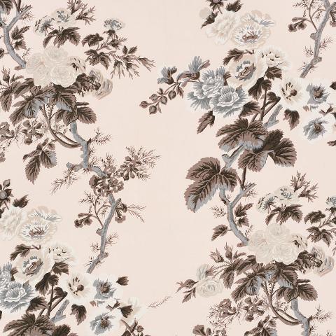 PYNE HOLLYHOCK