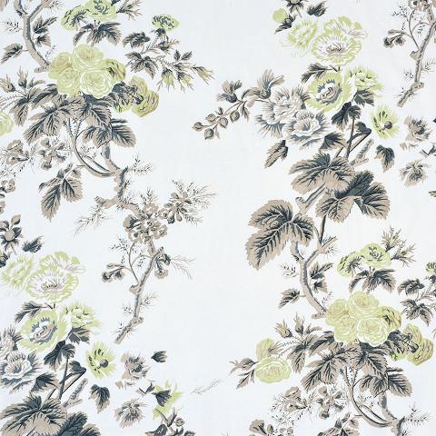 PYNE HOLLYHOCK