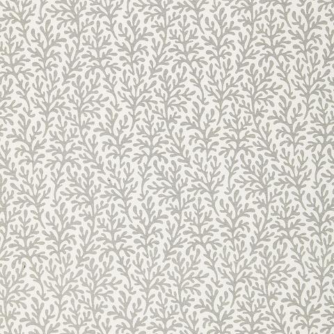 SEA CORAL