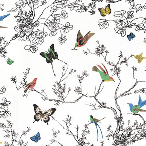 Birds & Butterflies
