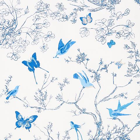 BIRDS & BUTTERFLIES