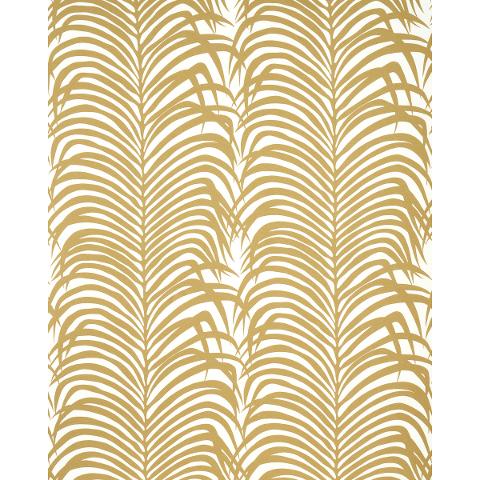 Zebra Palm