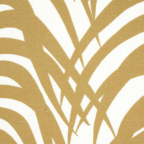 Zebra Palm