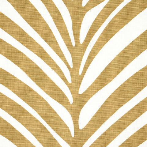 Zebra Palm