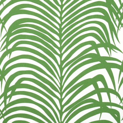 ZEBRA PALM