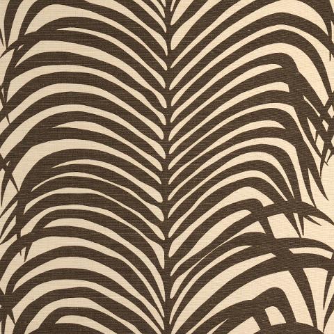 ZEBRA PALM
