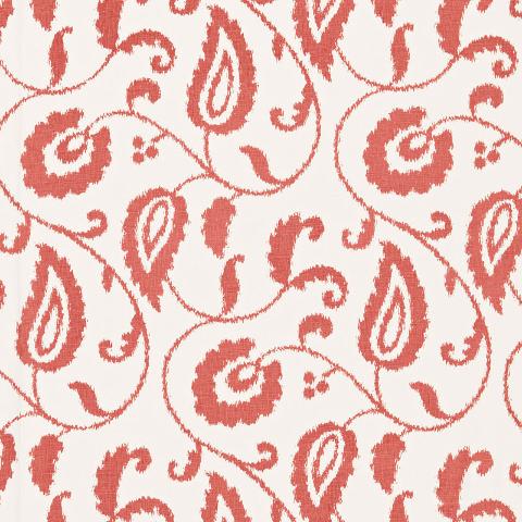 MALACCA IKAT VINE