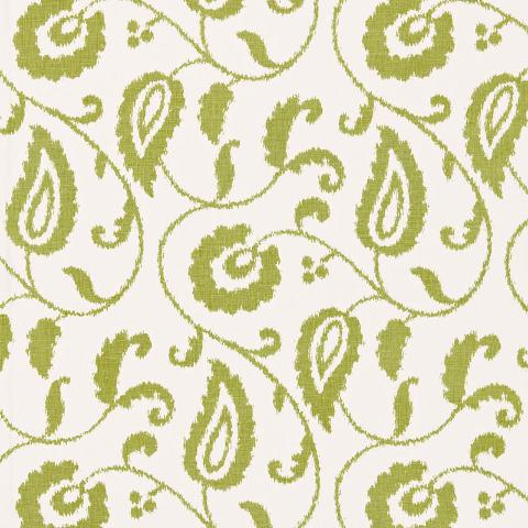 MALACCA IKAT VINE