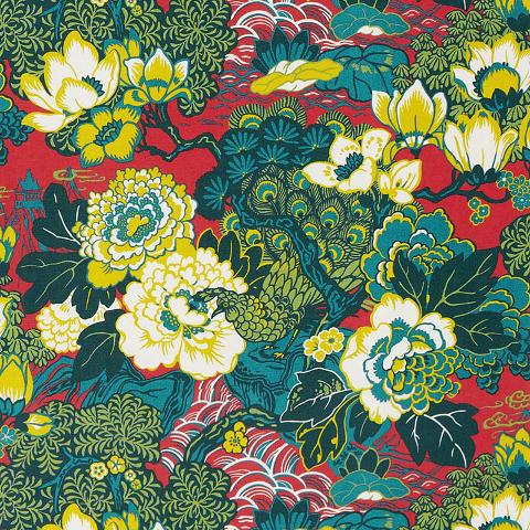 Shanghai Peacock