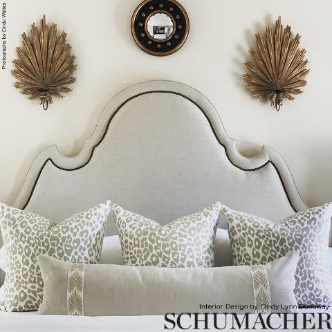 Iconic Leopard