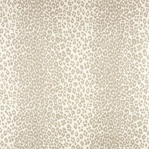 Iconic Leopard