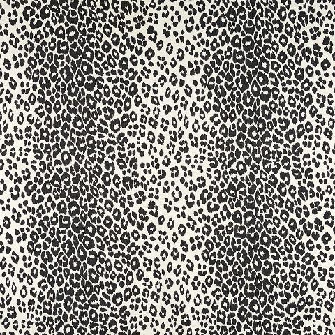 ICONIC LEOPARD