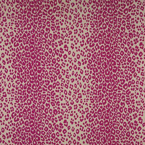 ICONIC LEOPARD