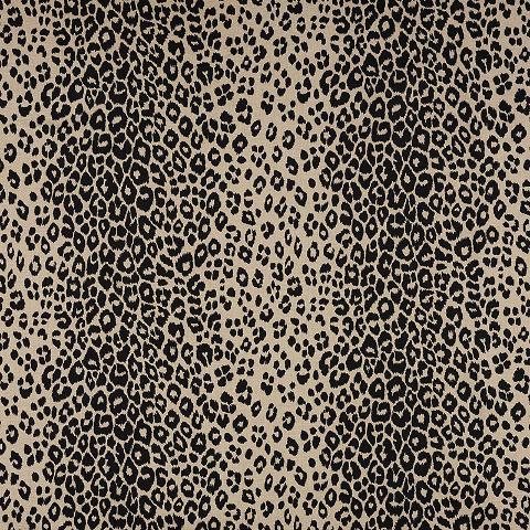 Iconic Leopard