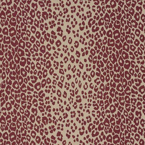 Iconic Leopard