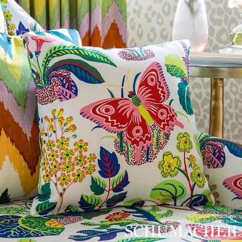 Exotic Butterfly