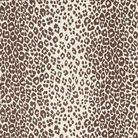 ICONIC LEOPARD