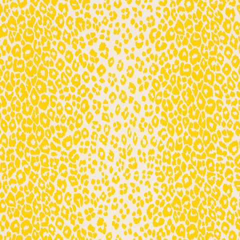 ICONIC LEOPARD