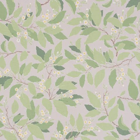 DOGWOOD LEAF