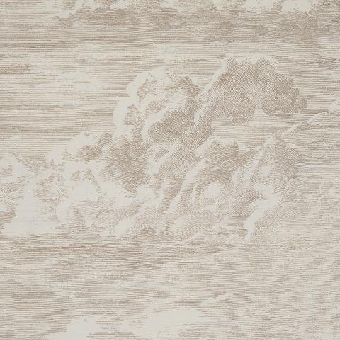 Cloud Toile